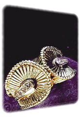 Fantasia 14Kt