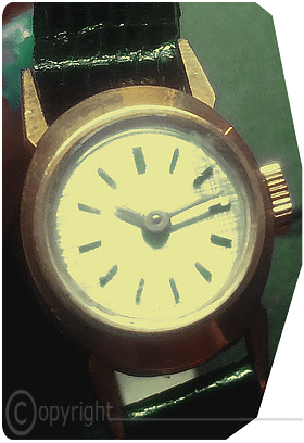 Zenith-donna Pulce