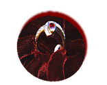 Anello4-Rubino naturale