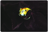 Anello smaltato