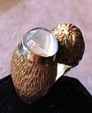 Anello3-Pietra di Luna