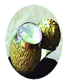 Anello3-Pietra di Luna